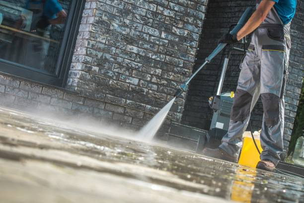 Best Roof Washing  in Juno Ridge, FL